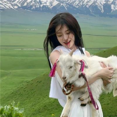 灵书妙探第八季